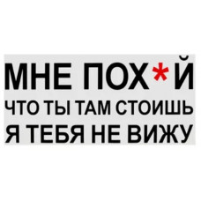 Наклейка №7 "Мне все равно, что ты там стоишь, я тебя не вижу" 230х500мм чёрный купить