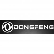 Табличка светящаяся DONGFENG 24V (без штекера) купить